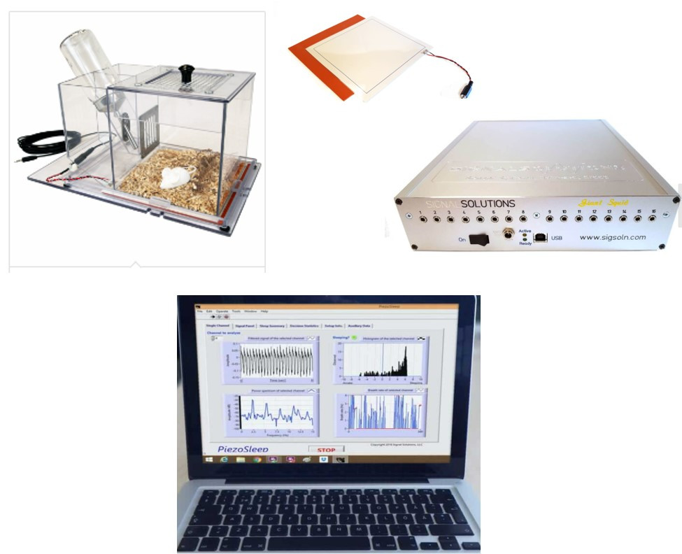 piezo behavioural tracking system.jpg (97 KB)